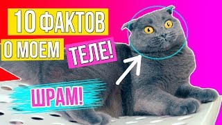 10 ФАКТОВ О МОЕМ ТЕЛЕ - ШРАМ НА ЛИЦЕ! ОТКУДА ОН? ВОЛШЕБНЫЙ КОТИК