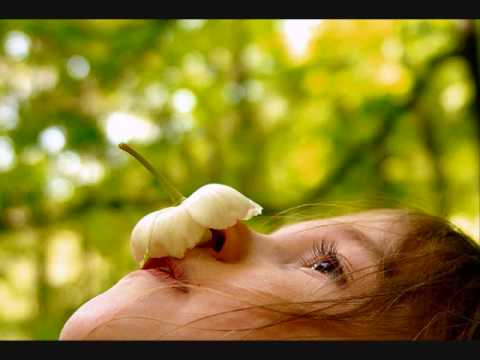 download lagu mp3 mp4 Lemongrass Fairyland, download lagu Lemongrass Fairyland gratis, unduh video klip Lemongrass Fairyland