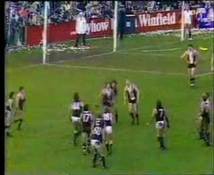 Coodabeen Champions - Ballad Of Robbie Muir