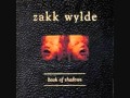 Zakk Wylde - Way Beyond Empty.wmv 