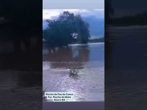 Riacho do Pau da Canoa Faz. Riacho do Mato     Abaré-BA