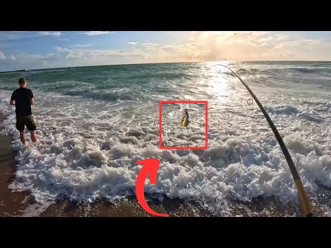 We Hit a Massive School of Mackerel! Catching Them One After Another!