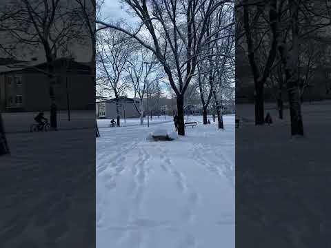 #sweden #uppsala #winter #snow #2023
