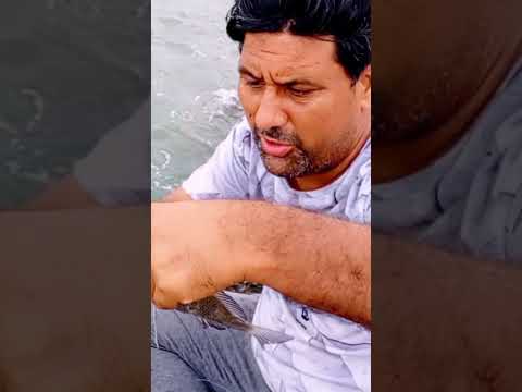 Do darya fishing | Best handline fishing Beach Karachi #dodarya #blackbream #fishing