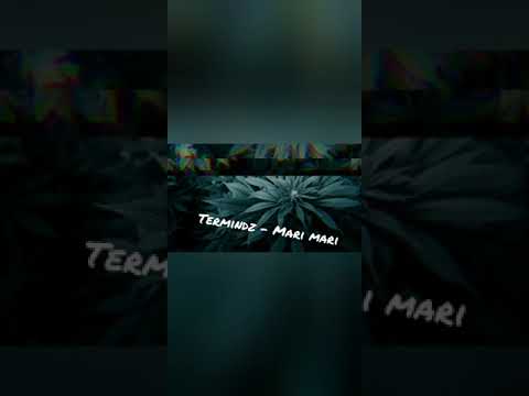 TermiNDZ - Mari Mari