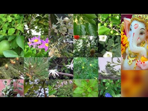 download lagu mp3 mp4 Ganesh Patri Online, download lagu Ganesh Patri Online gratis, unduh video klip Ganesh Patri Online