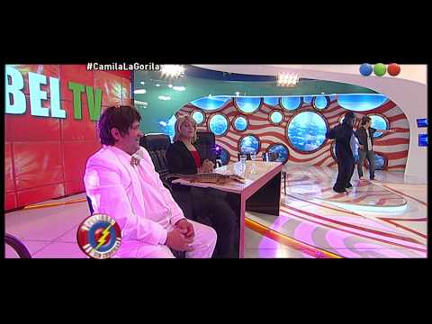 Camila the Gorilla dances 492 rhythms - Uncoded Danger