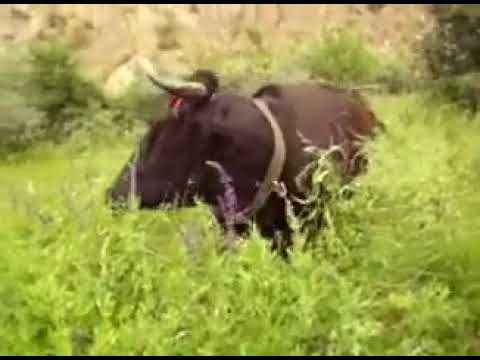 Excursie la Coltii de Jos,com.Colti,jud.Buzau