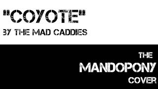 Coyote - Mad Caddies cover by MandoPony