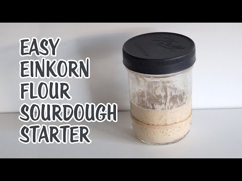 Einfaches Rezept für Einkorn-Sauerteig - So schmeckt Einkorn-Sauerteig