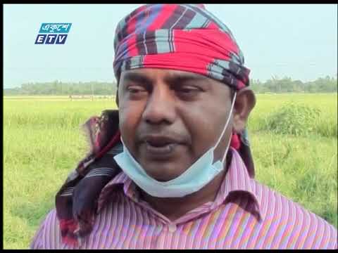 করোনা পরিস্থিতিতে দেখা দিয়েছে শ্রমিক সংকট