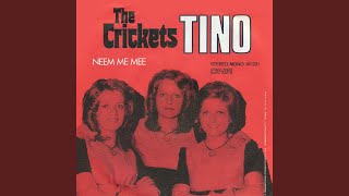 Crickets - Tino video