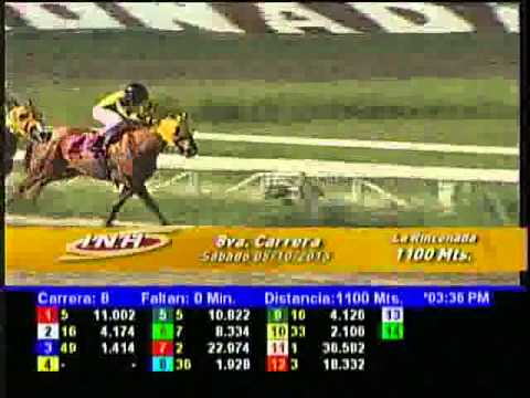 Resumen Sábado, 05 de Octubre de 2013 - La Rinconada