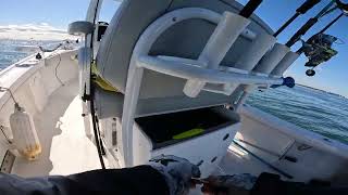 Not catching fish with Jim and Jocelyn !  This isn't the way!  ha ha :)