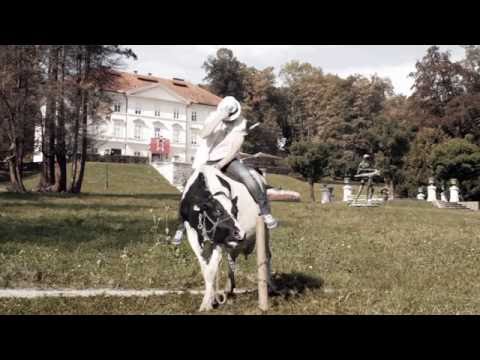 Šuplje priče 5 - Fight v Tivoliju 2 / Odzun