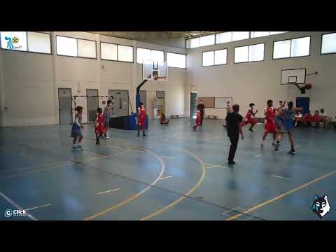 PREINFANTIL MASCULINO : CB 7 Palmas - Baloncesto Telde