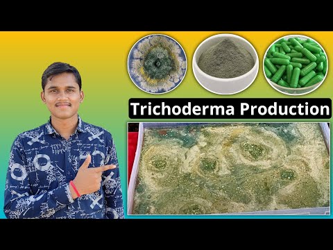 Trichoderma Production | Liquid Culture & Capsule | Bio Fungicide Uses & Benefits #igkv #igkvraipur