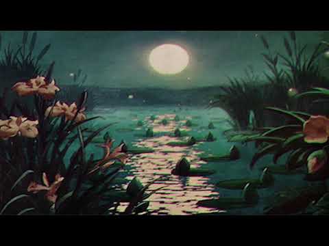 owl city - fireflies (slowed + reverb)