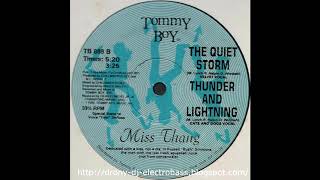 Miss Thang - Thunder And Lightning (Cats And Dogs Vocal)