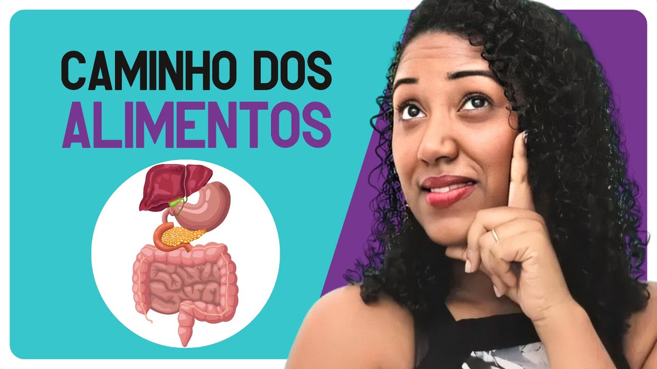 O Caminho do Alimento | Ciências | 5º ano