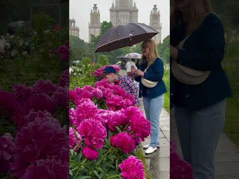 Jardin Botánico de Moscú en un día lluvioso🌷🌺🌧️ #travel  #motivation #flowers #moscow #naturaleza