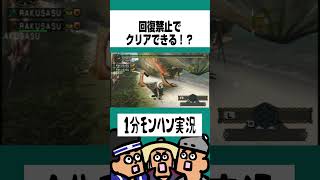 【MHP2G】回復禁止でG級大連続クエストはクリアできるのか！？