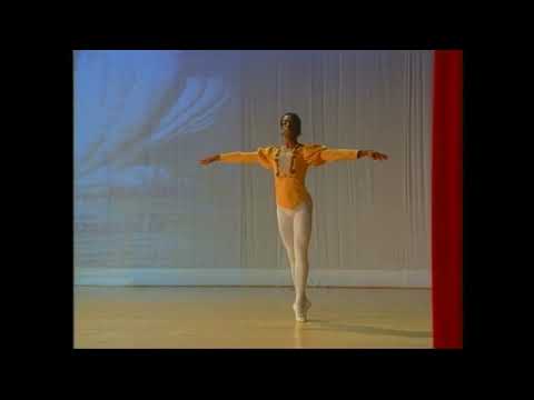 Variazione Maschile del Lago dei Cigni