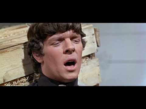 The Four Pennies - Black Girl