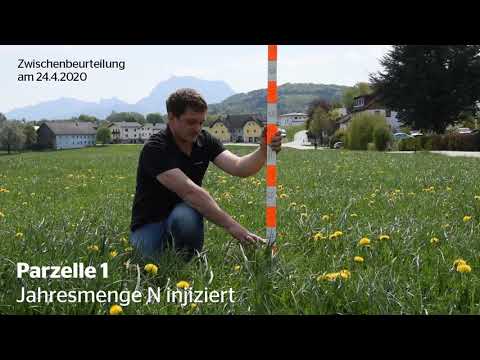 Maschinenring Feldtage - Düngungsversuch im Feldfutter Teil 2 (Ernte)