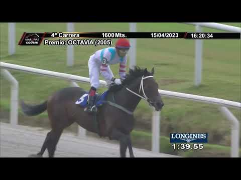 230415 c04 VIENTO ASUR