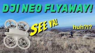 DJI NEO drone // FLYAWAY and RECOVERY // 3 weeks later ! Lost RUN footage !