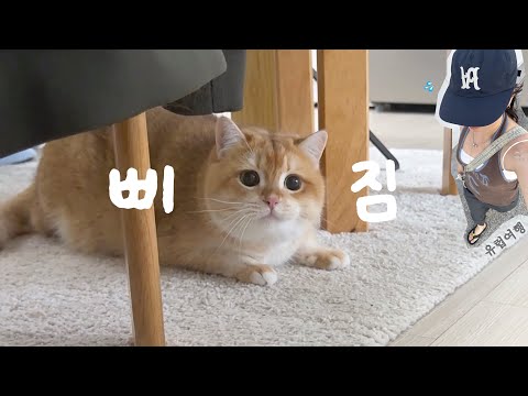 소빵이 두고 떠나는 유럽여행, 하나도 기대 안 된다