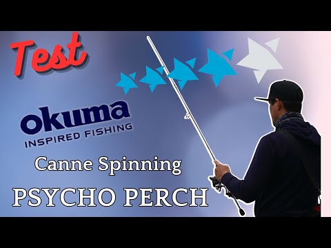 [TEST] Canne Spinning Okuma Psycho Perch UL 772