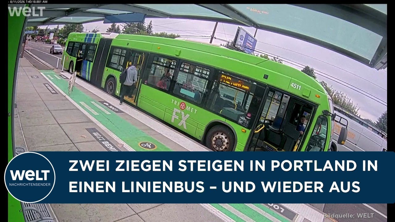 PORTLAND: Zwei Ziegen steigen in einen Linienbus ein und überraschen den Busfahrer