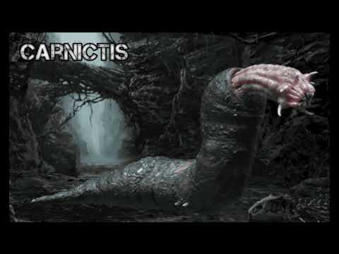 King Kong Creatures Sound Part 6