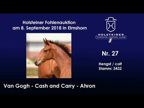 Holsteiner Fohlenauktion | Nr. 27 v. Van Gogh - CashandCarry