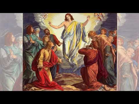 WDR 22. Juni 431 - Eröffnung des Konzils von Ephesos