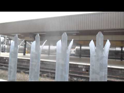 Trains at Leicester on 4/3/16