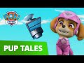 PAW Patrol Pups Save A Crashing Satellite Rescue Episode PAW Patrol Official Friends