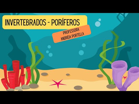 Invertebrates: Porifera