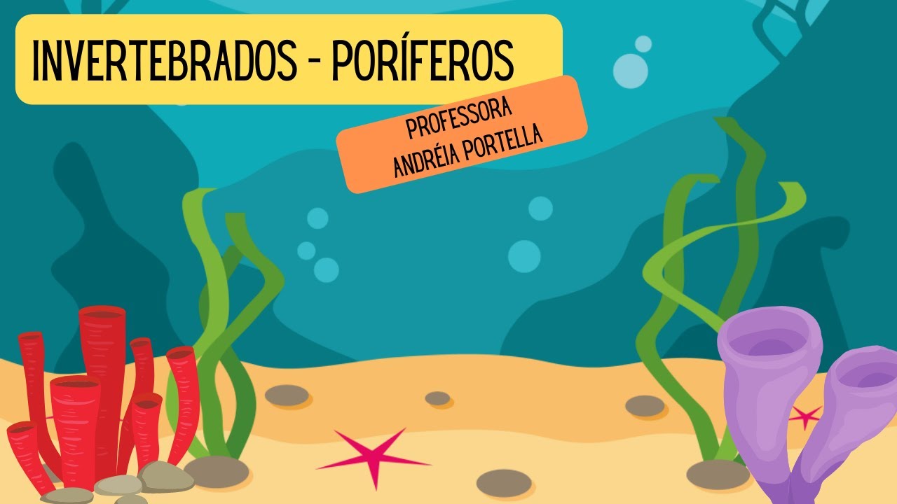 Invertebrados: Poríferos