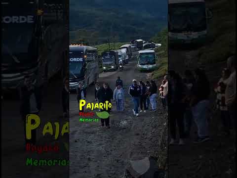 Trancón en el PR 82+200 (vía Sogamoso - Pajarito Boyacá)  02/12/2025