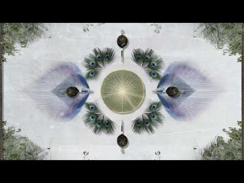 Raio, sophie sôfrēē - Buho (Kaya Project Remix)