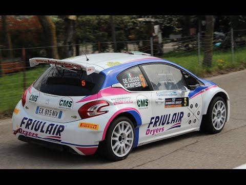 13° Benacus Rally 2015 Show (HD)