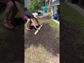 Here’s a way to help fix those uneven patchy spots in your yard! #yardwork #backyard