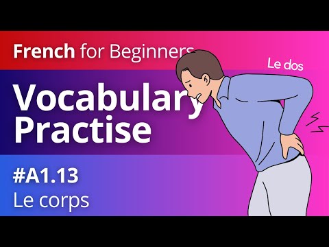 French Vocabulary for Beginners 13 Le Corps