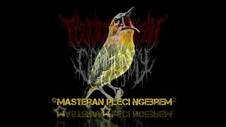 Download lagu Masteran Pleci Tembakan Kenari Ciblek Ngebrem 2021 mp3
