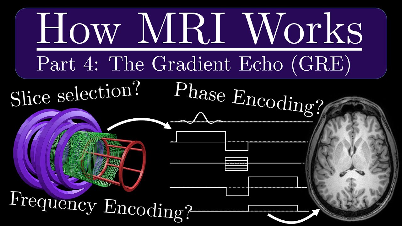 How MRI Works - Part 4 - The Gradient Recalled Echo (GRE)