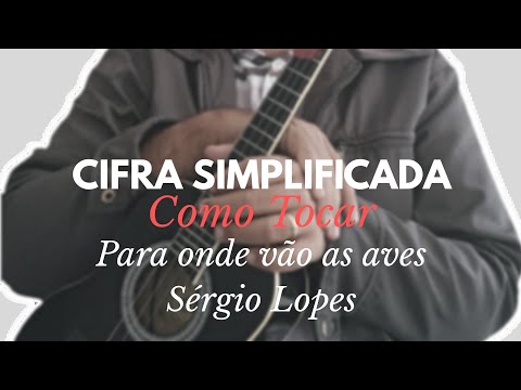 Pássaro Vida - Sérgio Lopes