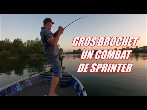 BROCHET Métrè de 103 Combat tous en Force